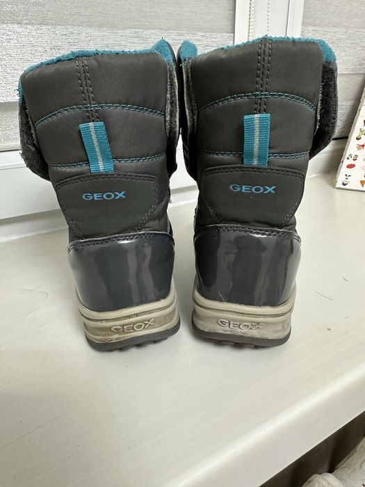 Зимние сапоги Geox