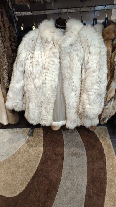 Vulpe polara in stare foarte buna