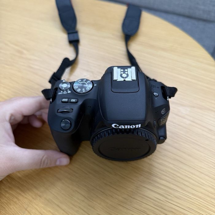 Canon EOS 200D + Canon EF 50mm f/1.8 II