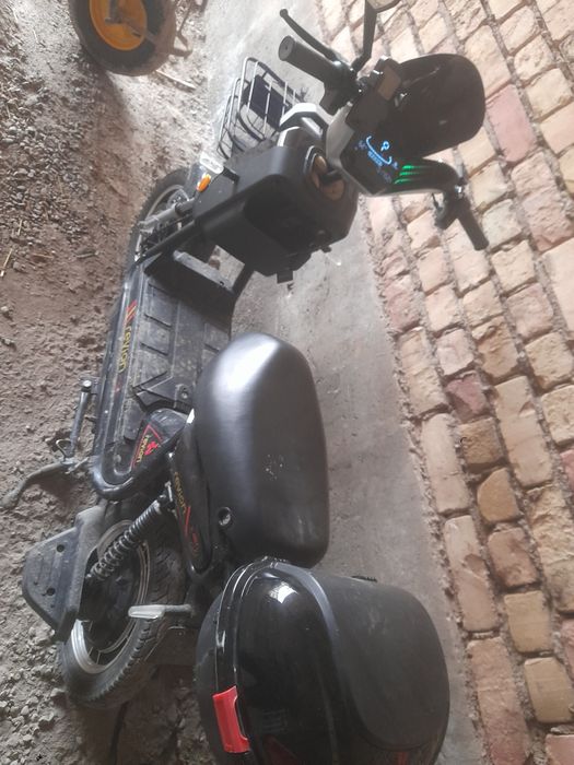 Sukuter xolati yangi