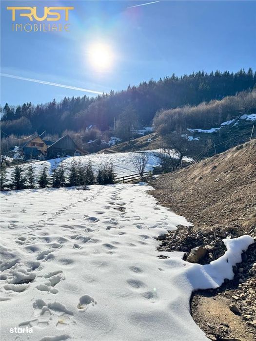 Cabana Zona Belis l 1500 MP l P+M l Alba