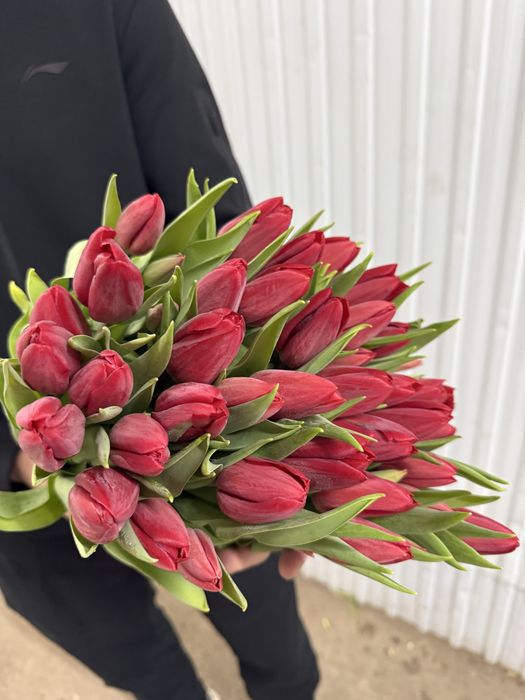 Тюльпаны оптом.