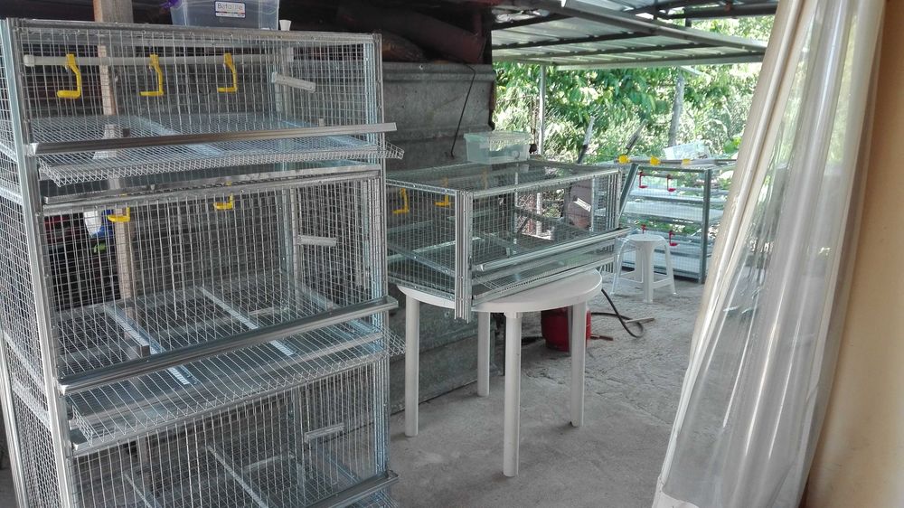 Клетки за зайци,пъдпъдъци и кокошки обурудвани