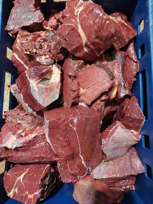 Месо за кучета, Конско месо,Патешки глави,телешко зелено шкембе и пиле