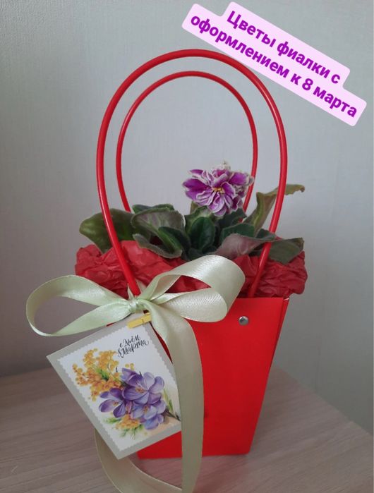 Фиалка, комнатное растение, в оформлении