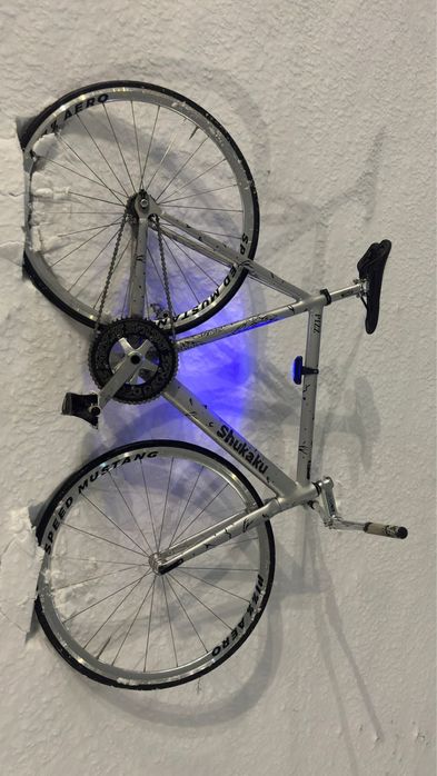 fixed-gear shukaku.