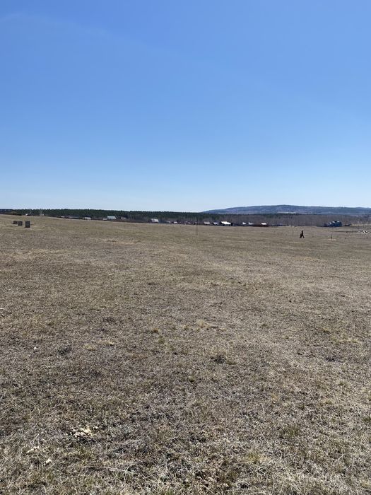 Продам 12 соток у леса в п.Зелёный Бор