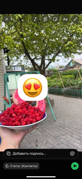 Продается дом на Берлине (майкудук)