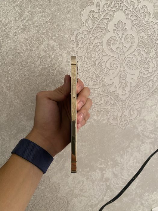 iphone 12 pro max холати идеал