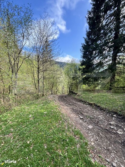 Teren extravilan, 2.8 ha, in zona Șandru, Campulung Moldovenesc