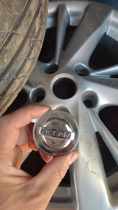 R17 оригинал титанка