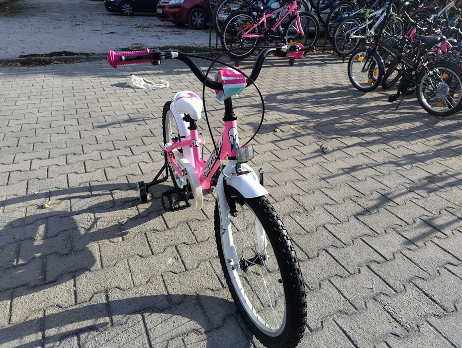 PASSATI Велосипед 20" AMAZON розов