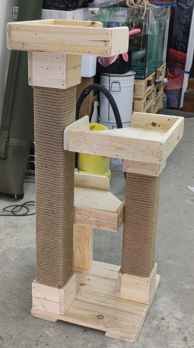 Котешка катерушка дърво