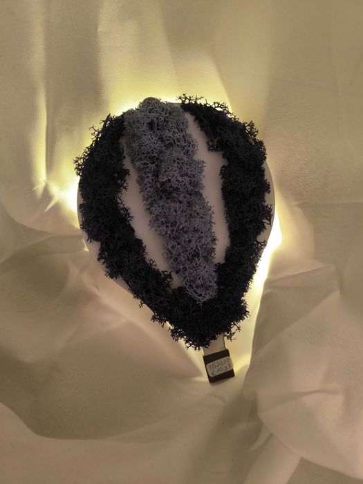 Картина от скандинавски мъх