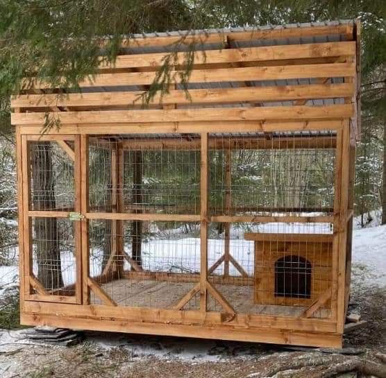 Țarc pentru câini/Kutyakennel