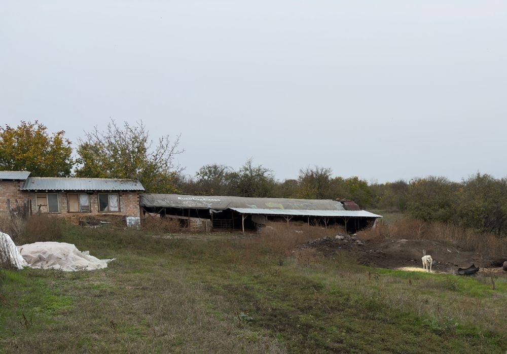 Продавам земеделска земя в с. Веселина \обл. Разград \