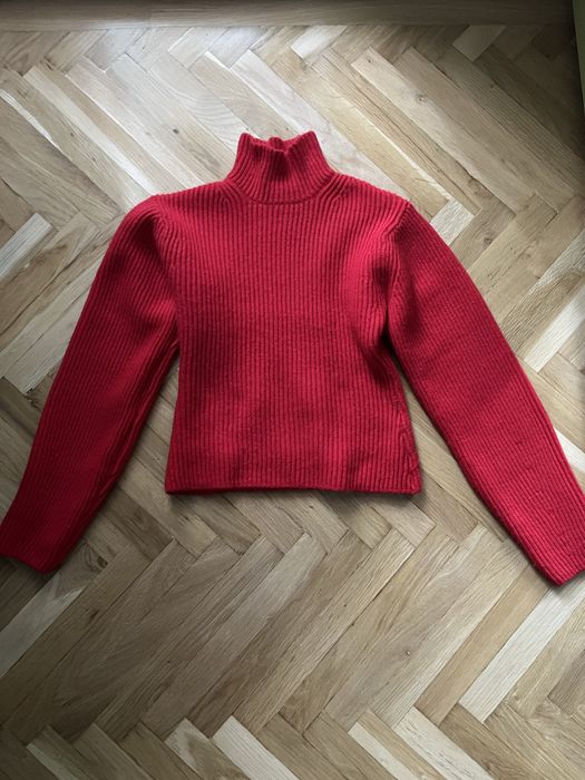 Plover gros de iarna