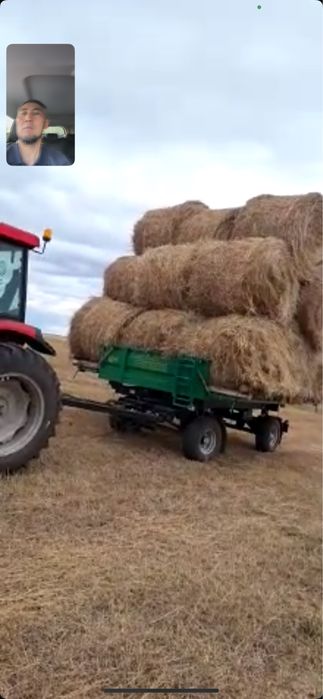 Фермерское хозяйство