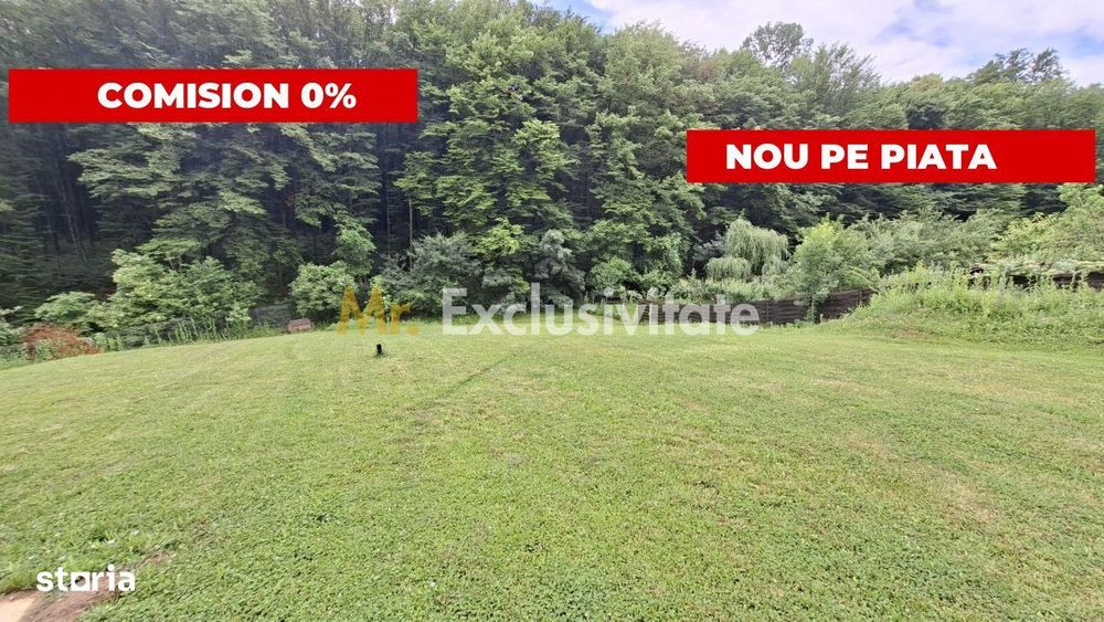 Teren intravilan 1203 mp Bascov-Florea zona Superba
