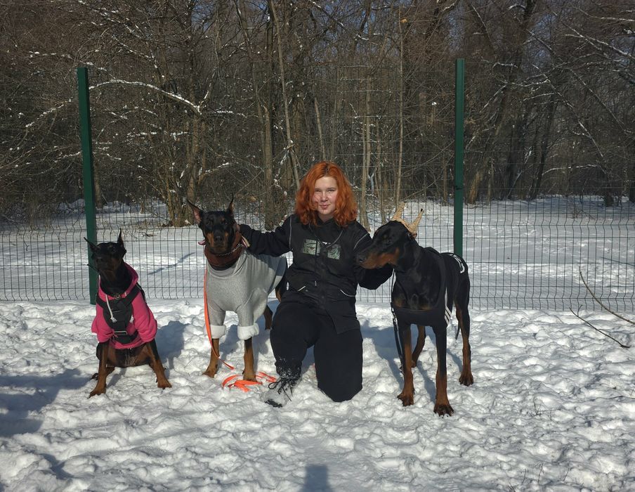 Дрессировка собак/ Кинолог