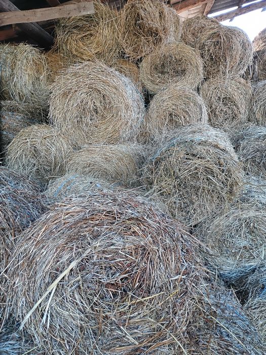 Vând baloți rotunzi lucerna 60x90