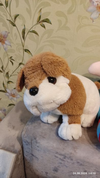 Мягкие  игрушки.