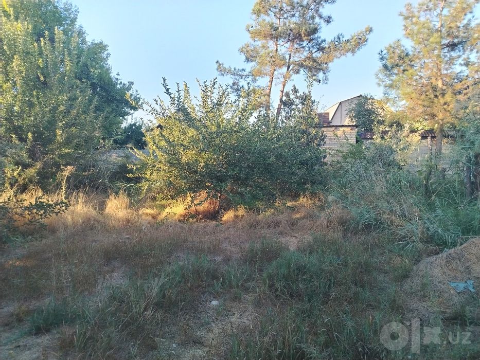 Продаётся дом куйчирчиский районе