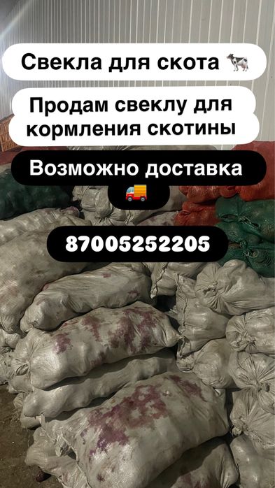 Корма для Скота