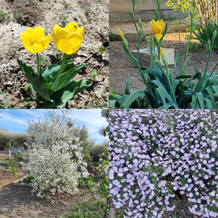 Продам дом в СО Химик