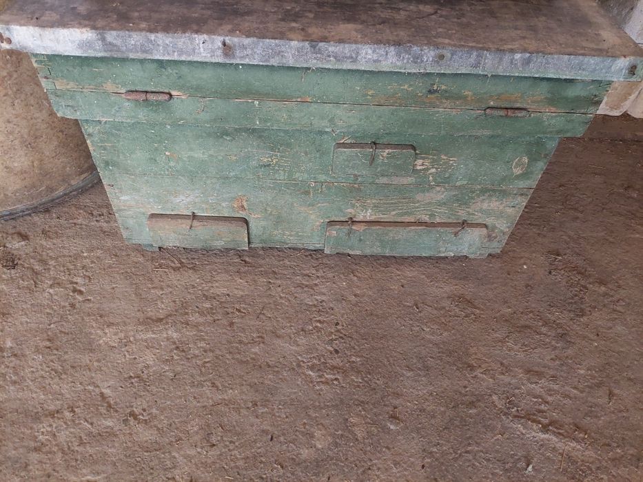 Vând stupi de albine