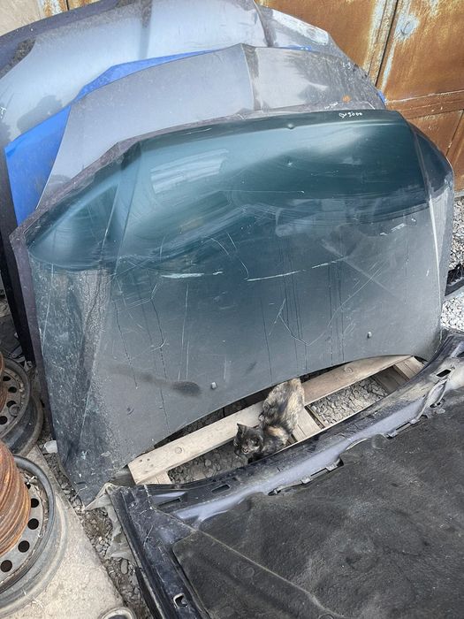 Митсубиси Спейс Вагон Капоты