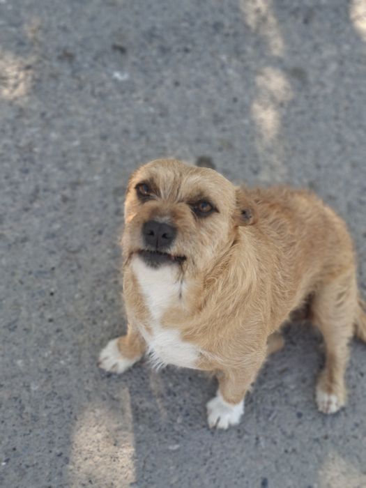 Кнопочка для семьи