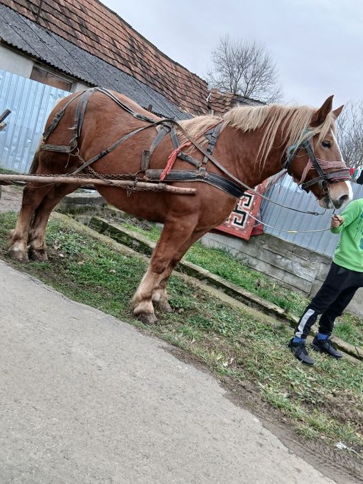 1111111111111111111111111111