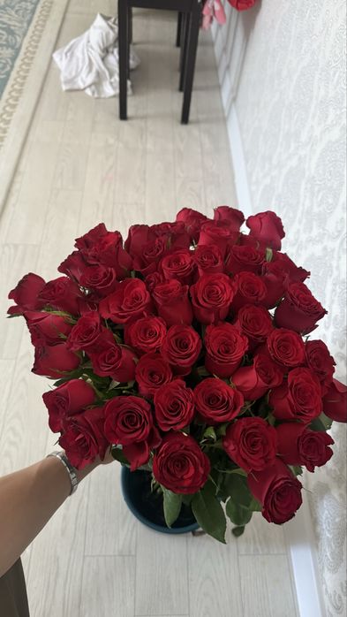 Розы 51 штук …………