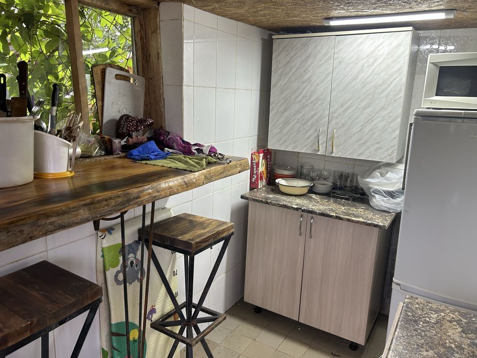 Дача на берегу Ишима