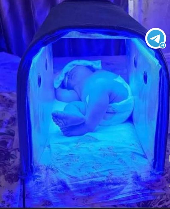 Фотолампа на аренду. Фотолампа арендага берилади кунига 50.000