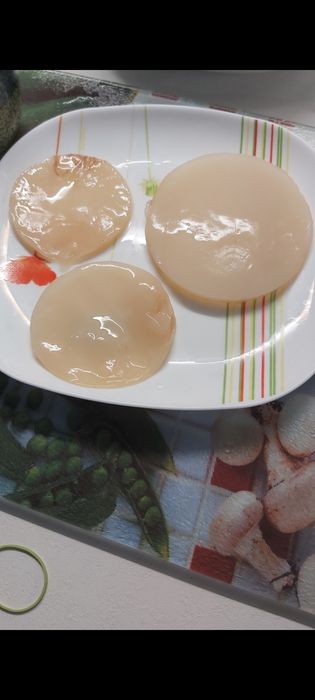 Kombucha de vânzare – SCOBY + starter