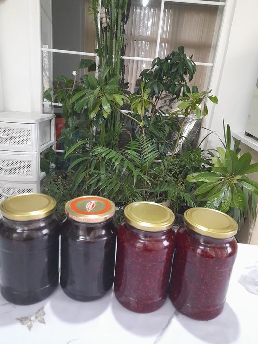 Домашние варения