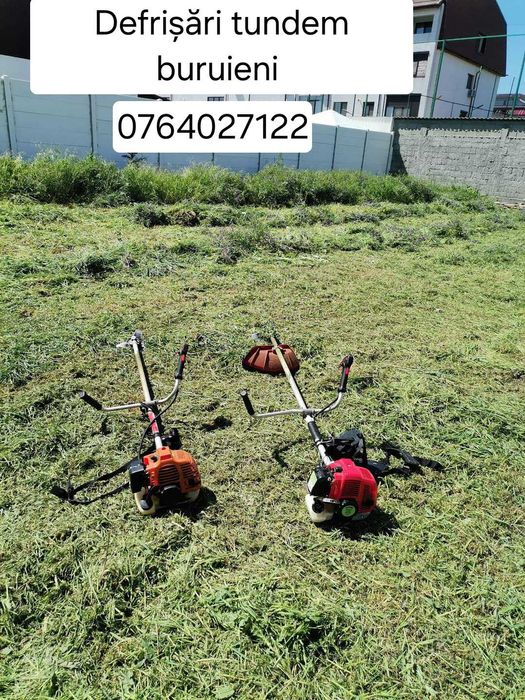 Tundem pomi grădinărit plantăm copaci etc