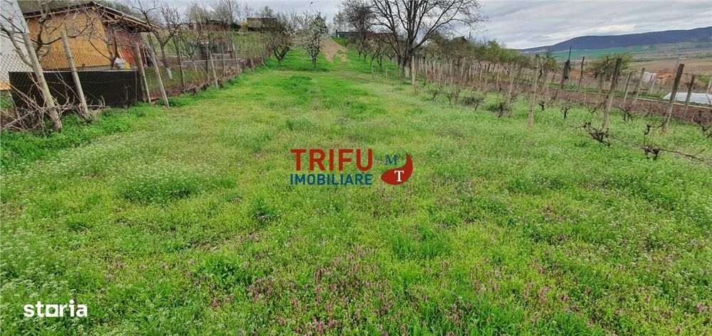 Teren de vanzare zona Micesti 1436mp