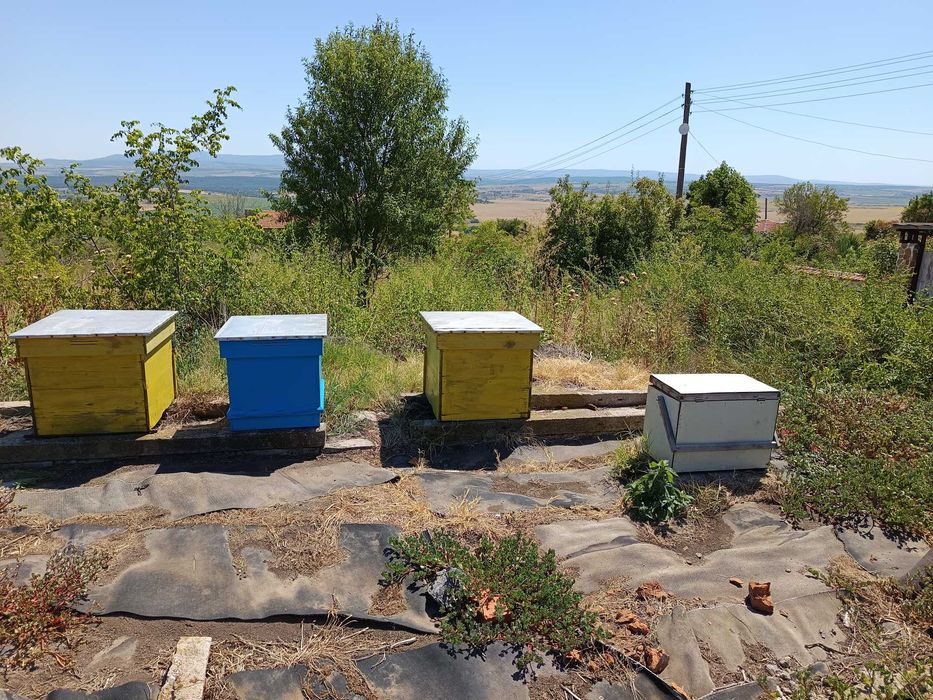 Центрофуга за мед