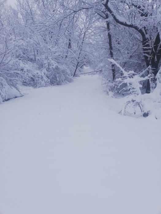 Продава се Къща в Антоново - 120 кв.м за 510 €/кв.м - Снимка #13