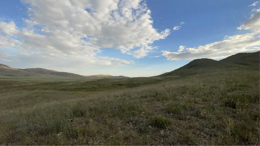 Фазенда, крестянское хозяйство.ТОРГ