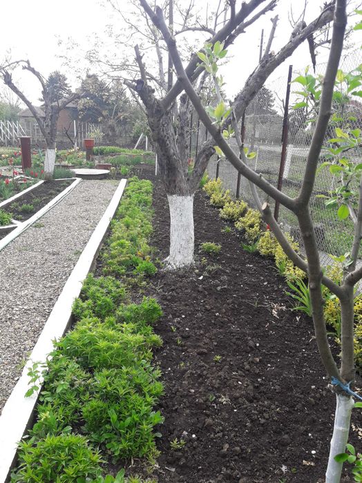 Продава се Къща в с. Бутан, Област Враца - 360 кв.м за 190 €/кв.м - Снимка #10