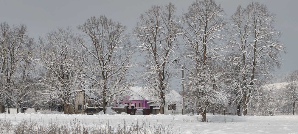 Ocazie - Casa de vânzare în Vărădia de Mureș, jud. Arad