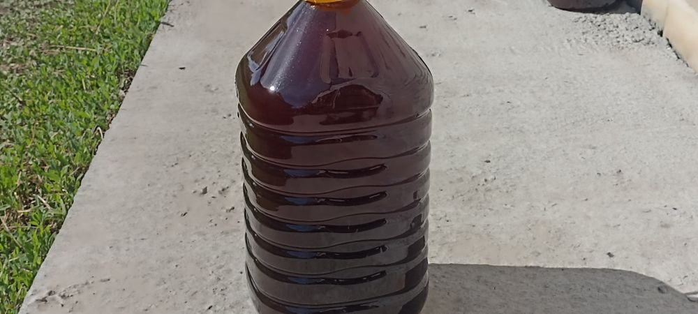 Продам мёд-дягиль