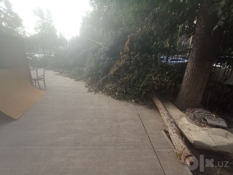 Utin tekinga obketsayla buldi