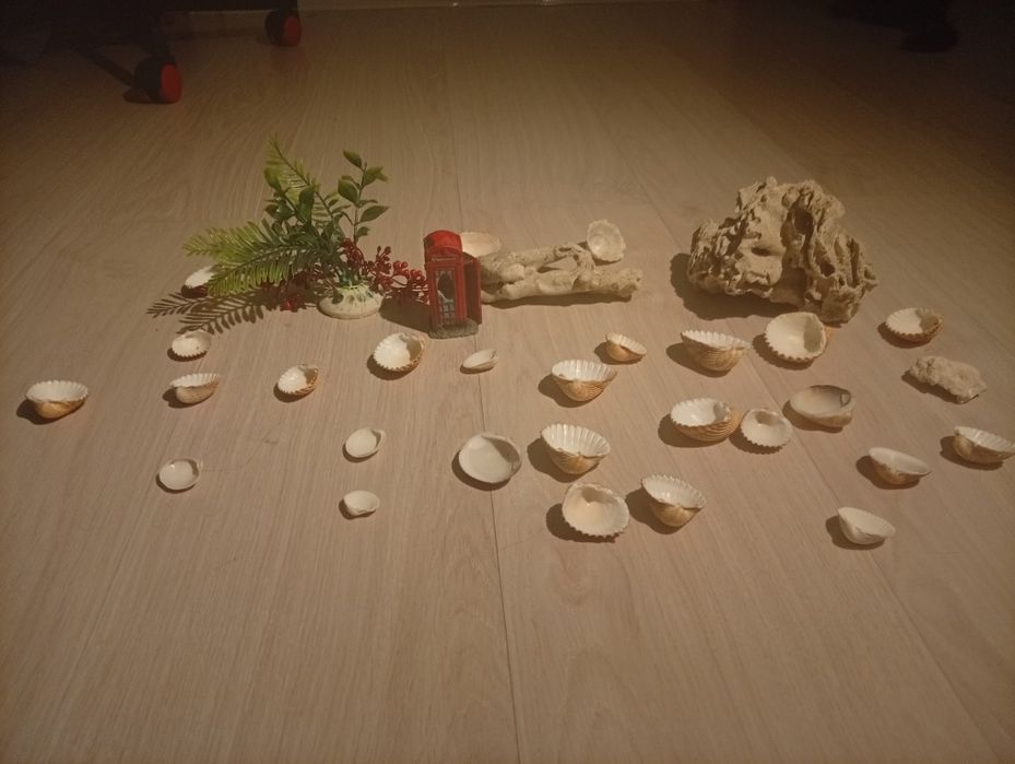 Аквариум ~7.3 литров шарообразный