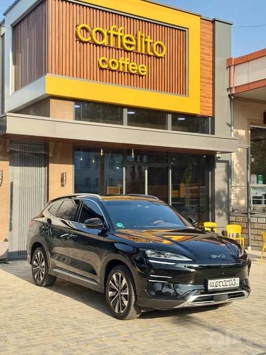 Byd Champion Restyling full