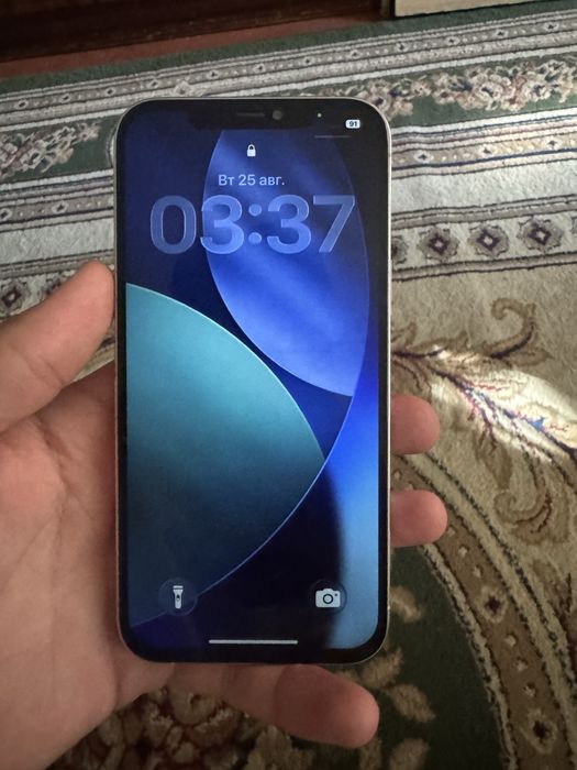 iPhone 12 pro max